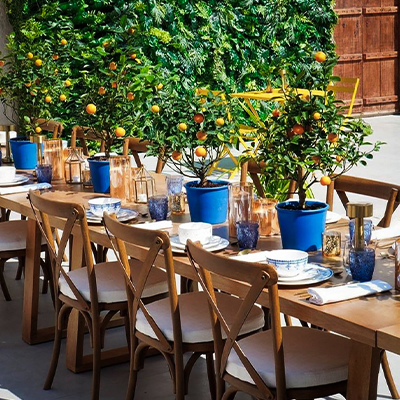 outdoor-dining-table-with-citrus-trees