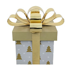 Giant Gift Box - Gold + Silver  ​P-CM141-MC