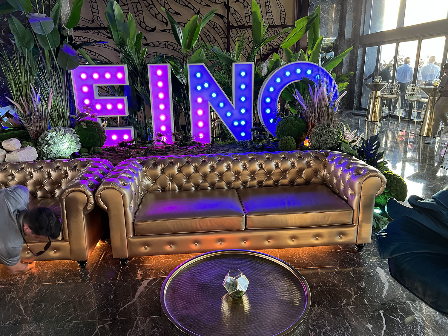 Illuminated EINO marquee letters framed by moss, ornamental grasses and sculptural green foliage.