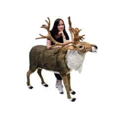 Reindeer - 165cm - Life-like ​P-AM102-LI