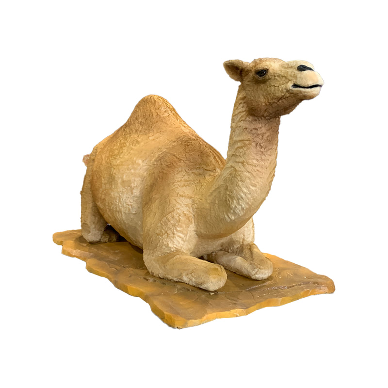 P-AM105-LI 165cm Life-size resting camel with head movement