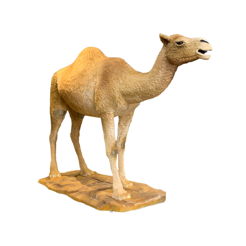 P-AM106-LI 240cm Life-size standing camel with head movement 
