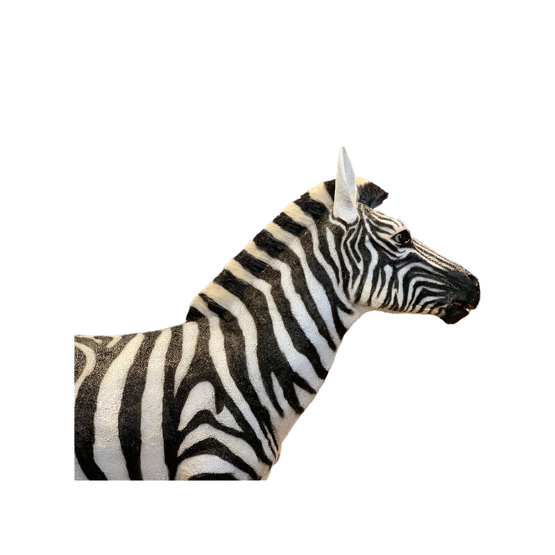 P-AM107-LI 185cm Life-size zebra with head and tail movement