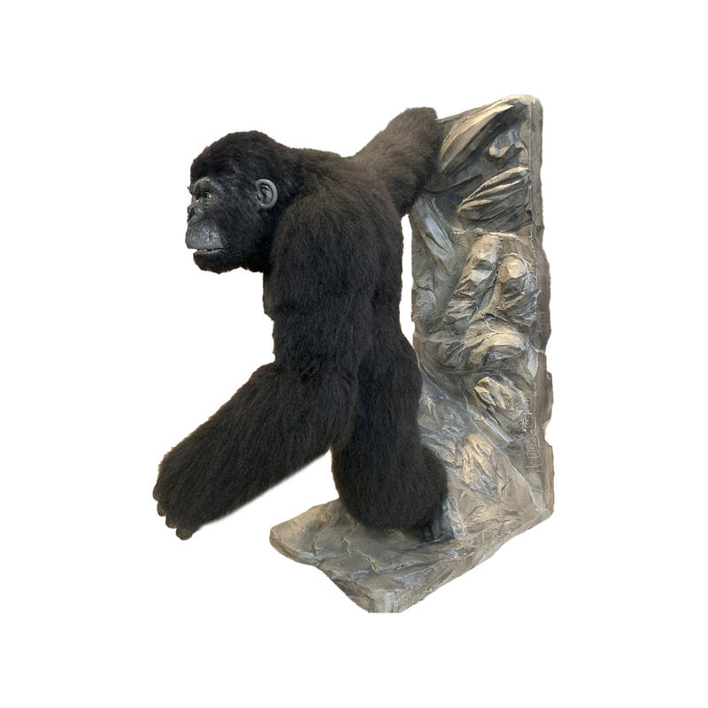 P-AM109-LI 230cm Life-size gorilla with head, hands, mouth and eye movement 