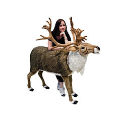 Animatronic Reindeer P-AM102-LI