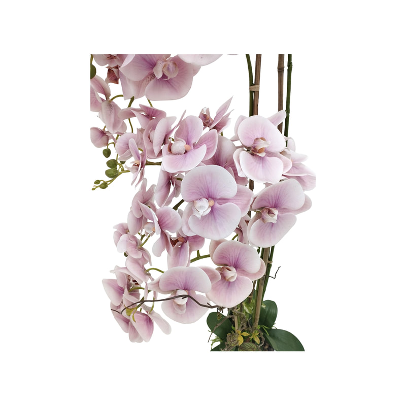 P-AP101-LP 124cm high potted orchid with light pink blossoms