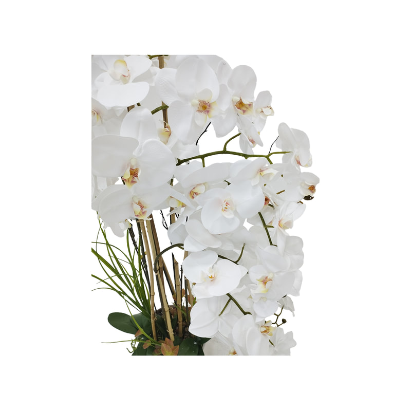 P-AP102-WH 113cm high potted orchid with white blossoms