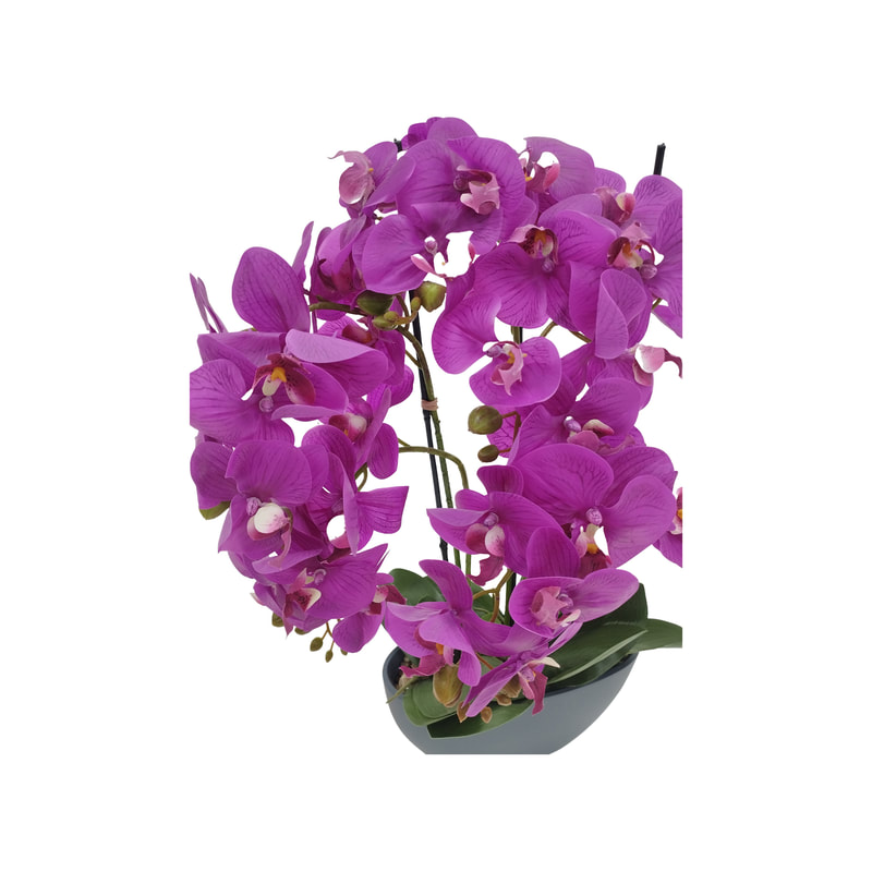 P-AP103-HP 65cm high potted orchid with hot pink blossoms