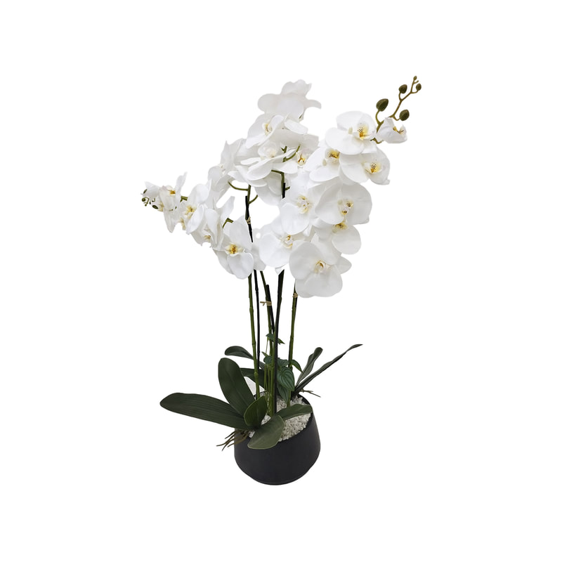 P-AP105-WH 89cm high potted orchid with white blossoms