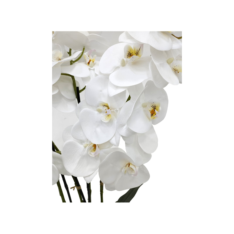 P-AP105-WH 89cm high potted orchid with white blossoms