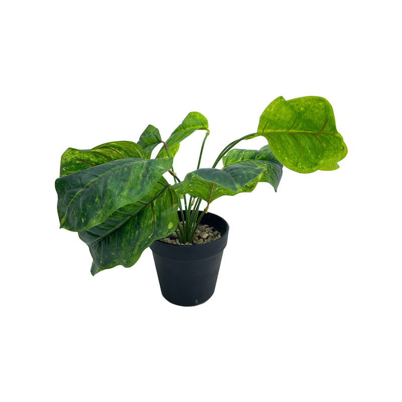 P-AP112-GR 8cm Anubias barteri artificial table top plant