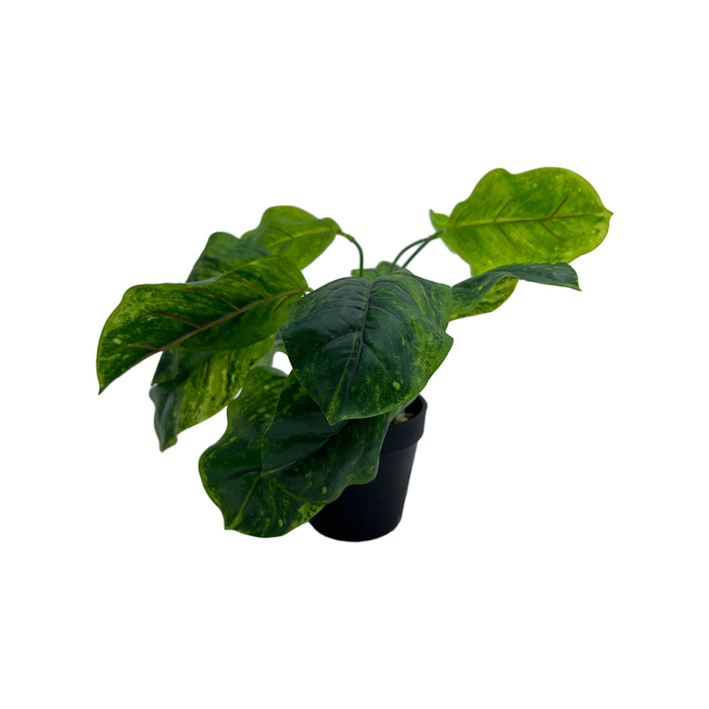 P-AP112-GR 8cm Anubias barteri artificial table top plant