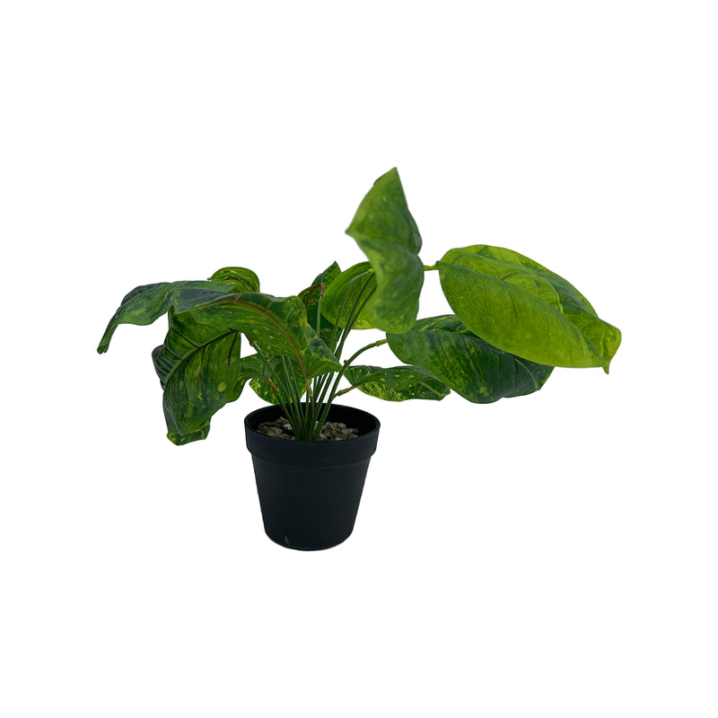 P-AP112-GR 8cm Anubias barteri artificial table top plant