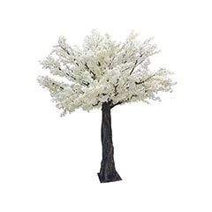 Peach Tree - 3.4m - White P-AT106-WH