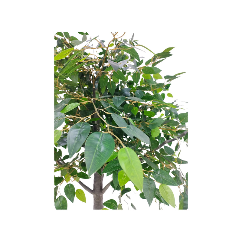 P-AT107-GR 1.8m high artificial Ficus tree with green leaves