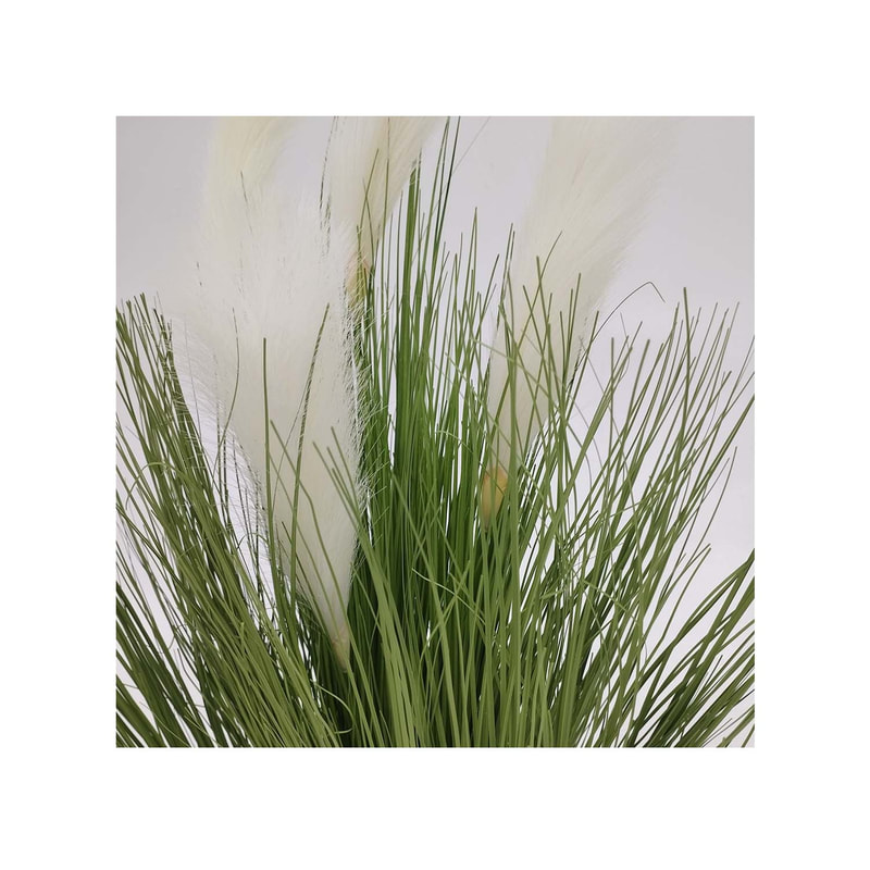 P-BM113-NL 110cm high 'Nearly natural' Fountain grass