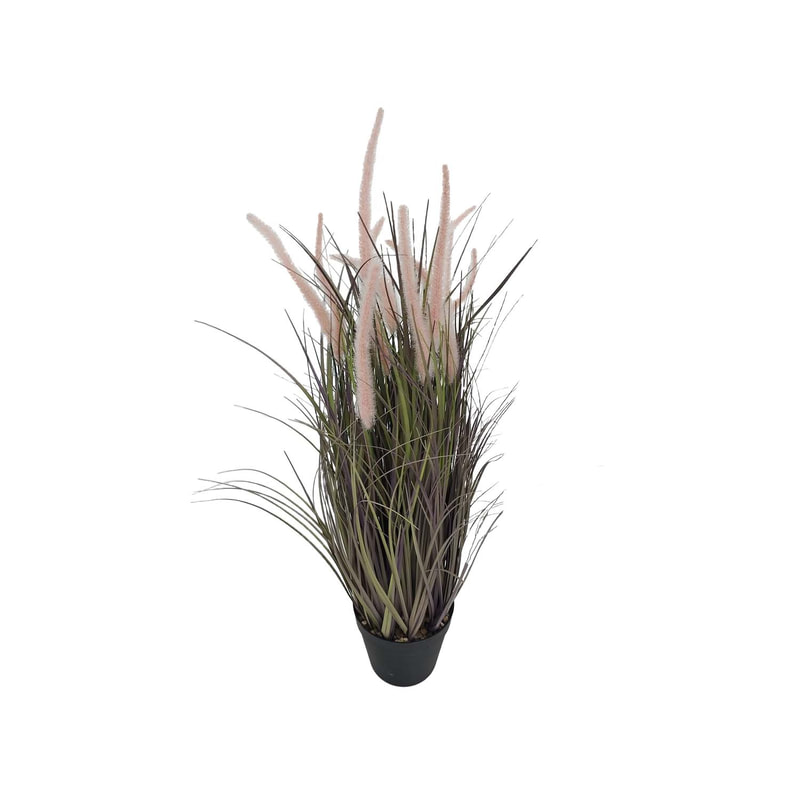 P-BM114-NL 80cm high 'Nearly natural' Fountain grass with seeds
