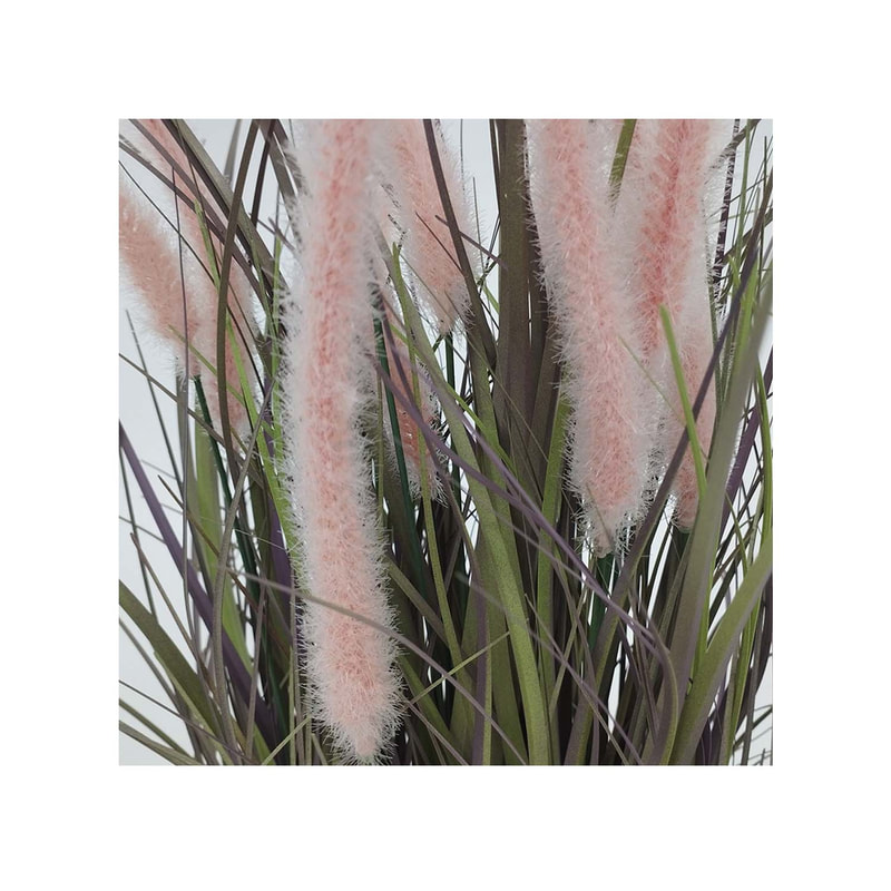 P-BM114-NL 80cm high 'Nearly natural' Fountain grass with seeds
