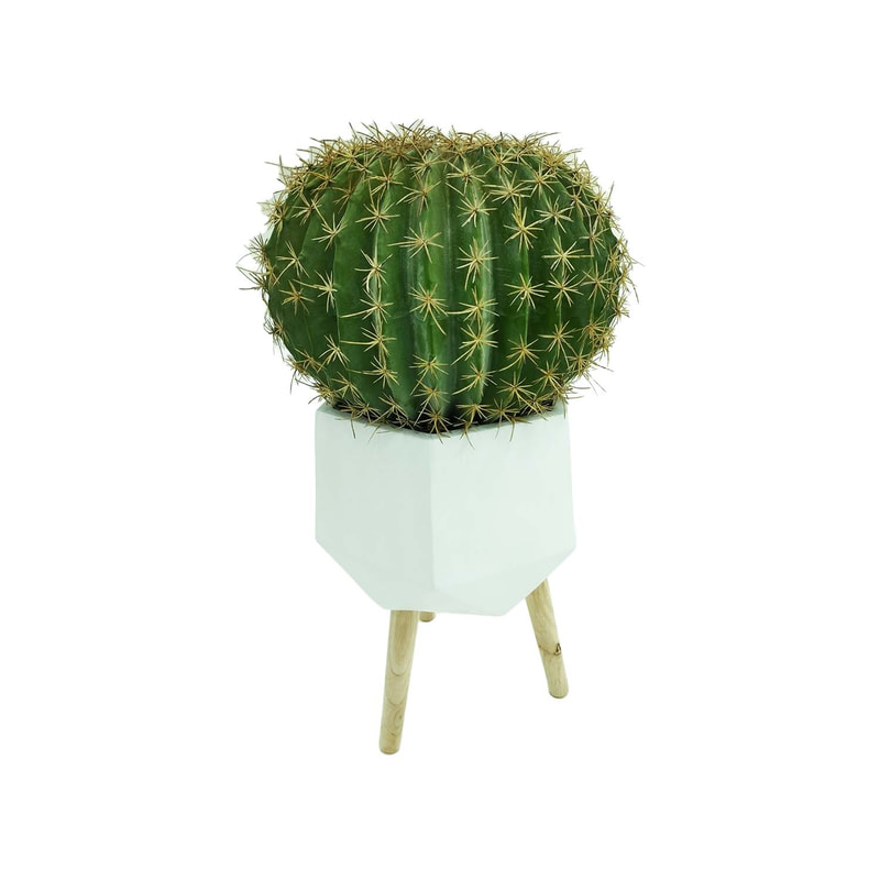 P-CA101-NL 45cm high 'nearly natural' golden ball cactus + P-PT140-WH 25cm dia Giverny white geometric plant pot on wooden legs