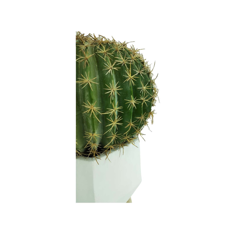 P-CA101-NL 45cm high 'nearly natural' golden ball cactus + P-PT140-WH 25cm dia Giverny white geometric plant pot on wooden legs