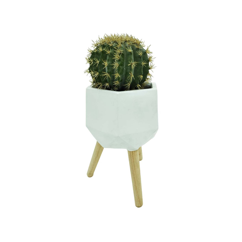 P-CA103-NT 25cm high 'nearly natural' ball cactus + P-PT140-WH 25cm dia Giverny white geometric plant pot on wooden legs