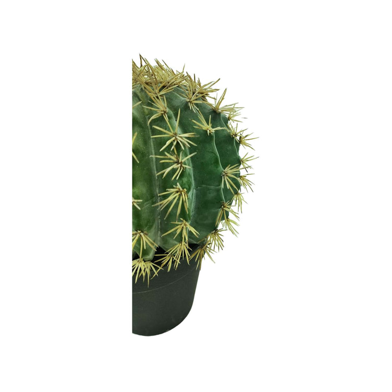 P-CA103-NT 25cm high 'nearly natural' ball cactus
