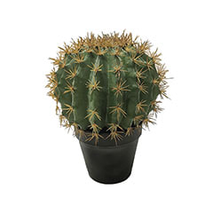 Ball Cactus - 25cm  ​P-CA103-NT