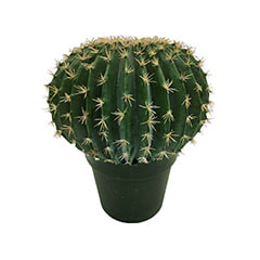 Ball Cactus - 45cm ​P-CA104-NT​