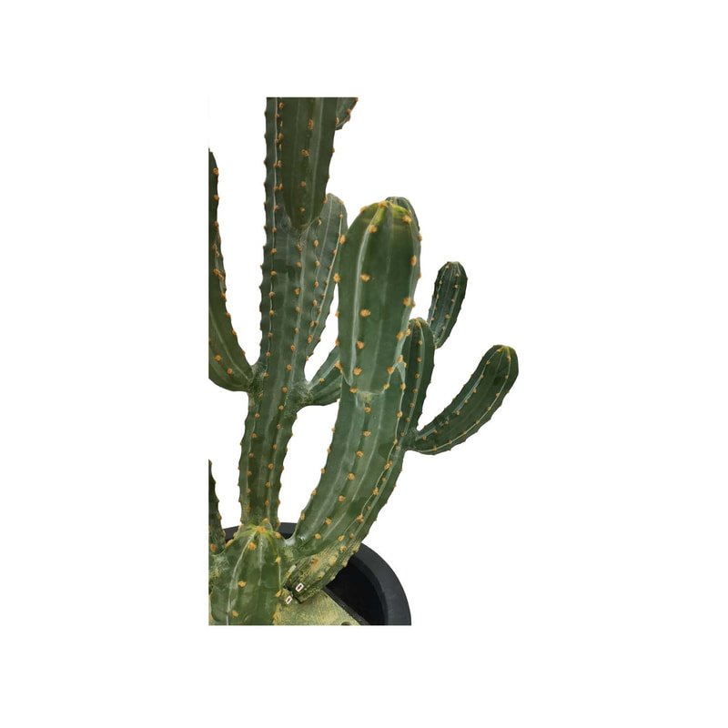 P-CA105-NT 79cm high 'nearly natural' bushy cereus cactus + P-PT124-BL 26cm dia Plymouth round black fiberglass plant pot