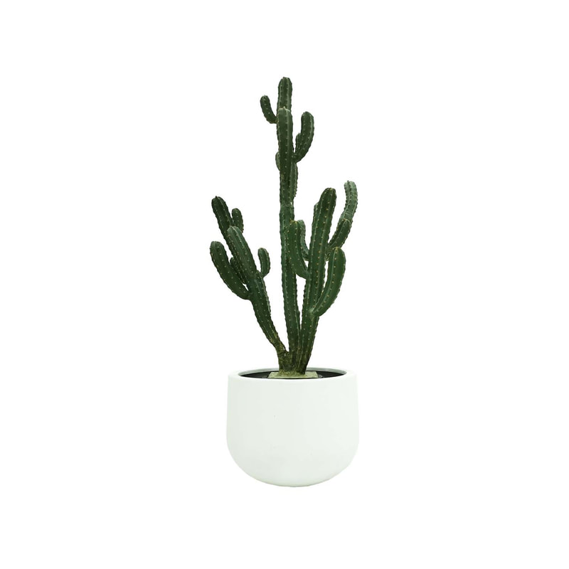 P-CA106-NT 168cm high Cereus 'nearly natural' cactus tree + P-PT123-WH 40cm dia Plymouth round white fiberglass plant pot