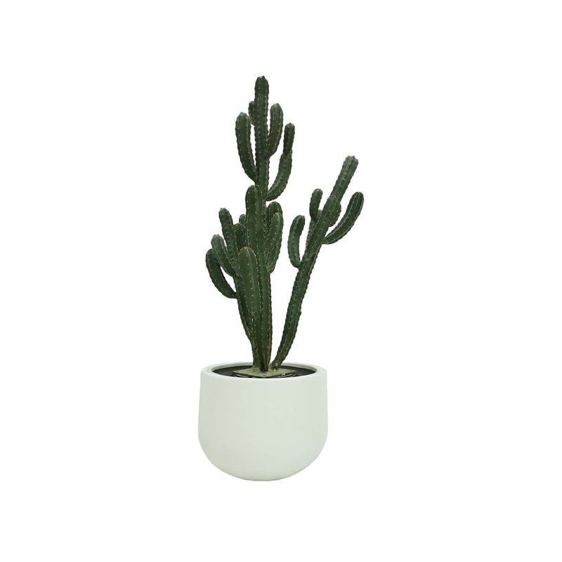 P-CA106-NT 168cm high Cereus 'nearly natural' cactus tree + P-PT123-WH 40cm dia Plymouth round white fiberglass plant pot