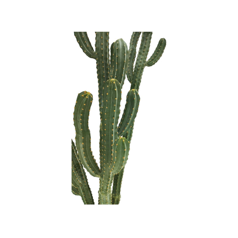  P-CA107-NT 254cm high Cereus 'nearly natural' cactus tree + P-PT123-WH 40cm dia Plymouth round white fiberglass plant pot