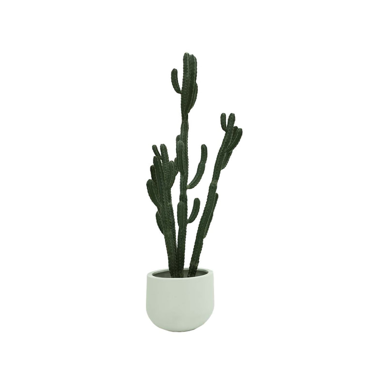  P-CA107-NT 254cm high Cereus 'nearly natural' cactus tree + P-PT123-WH 40cm dia Plymouth round white fiberglass plant pot