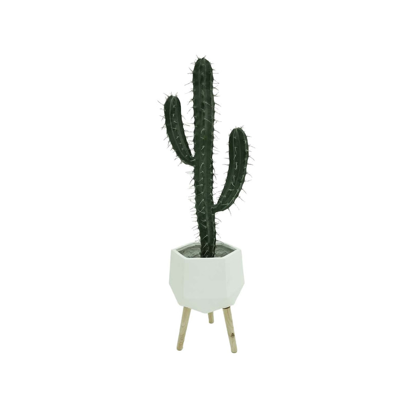 P-CA108-NT 101cm high Toothpick 'nearly natural' cactus + P-PT139-WH 33cm dia Giverny white geometric plant pot on wooden legs