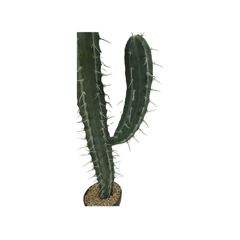 P-CA108-NT 101cm high Toothpick 'nearly natural' cactus