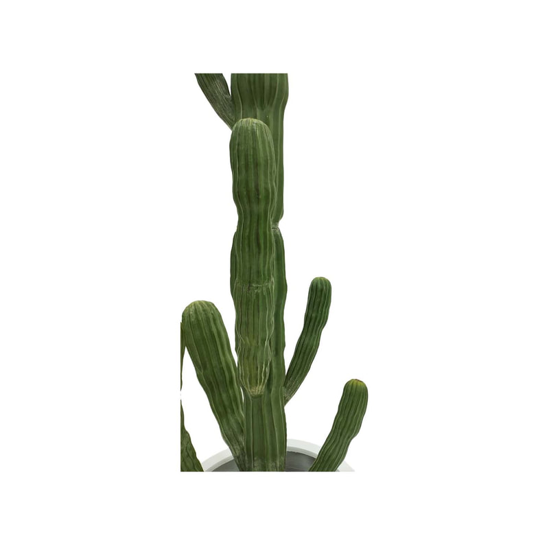  P-CA112-NT 165cm high Saguaro 'nearly natural' cactus
