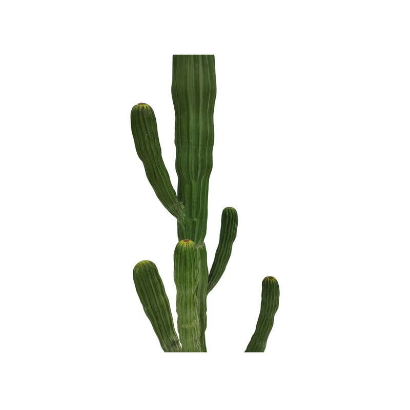  P-CA113-NT 250cm high Saguaro 'nearly natural' cactus