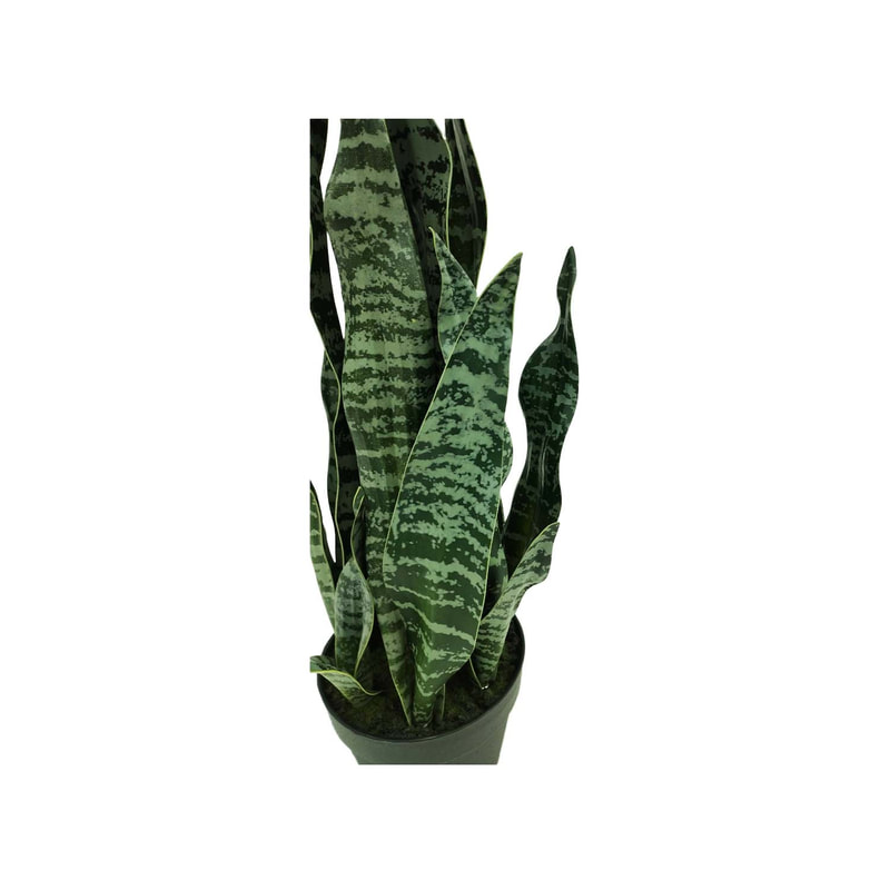 P-CA117-NT 71cm Snake 'nearly natural' Plant