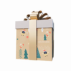 Giant Gift Box - Multicoloured​ ​P-CM148-MC