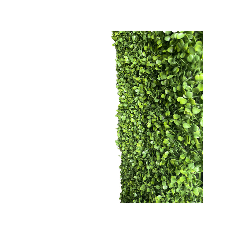 P-DP250-GR Tall box hedge panel with black ballasted base unit