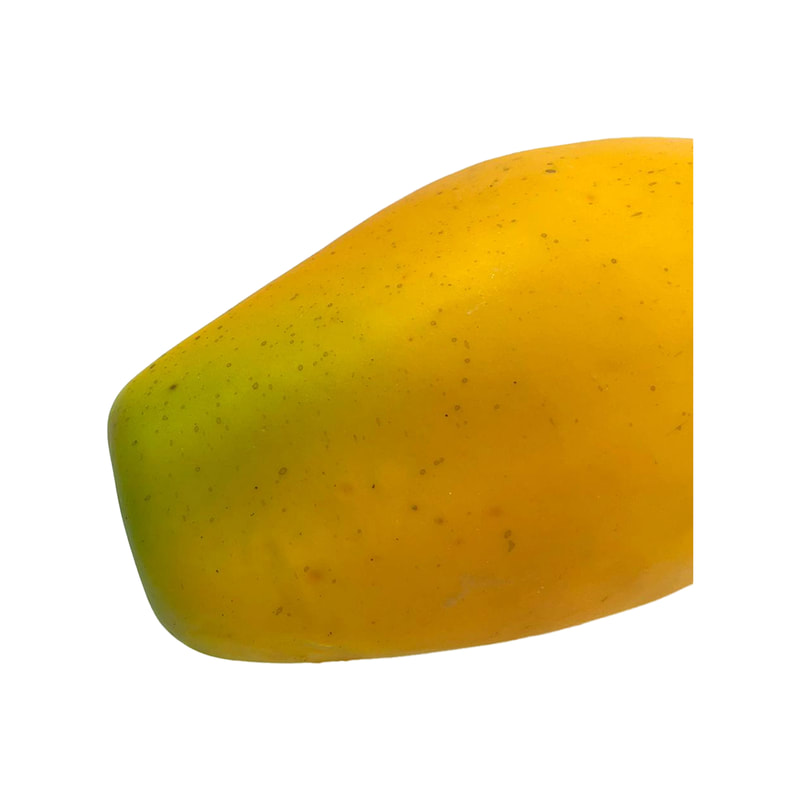 P-FA113-OR 15cm pawpaw 