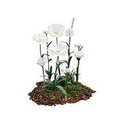 Giant Flowers - White ​P-FK881-WH