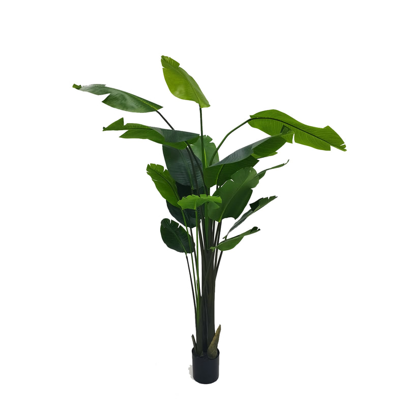 P-NN101-NT 285cm high 'nearly natural' Banana palm