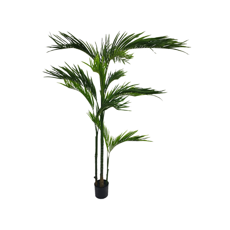 P-NN105-NT 210cm high 'nearly natural' Areca palm