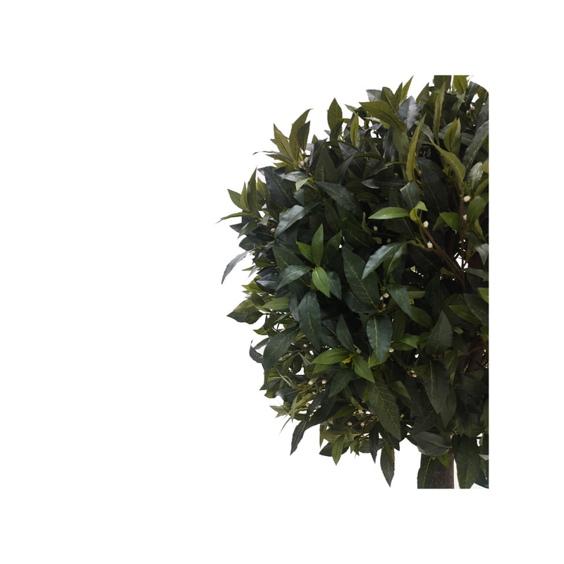 P-NN106-NT 205cm high 'nearly natural' Ficus topiary bush