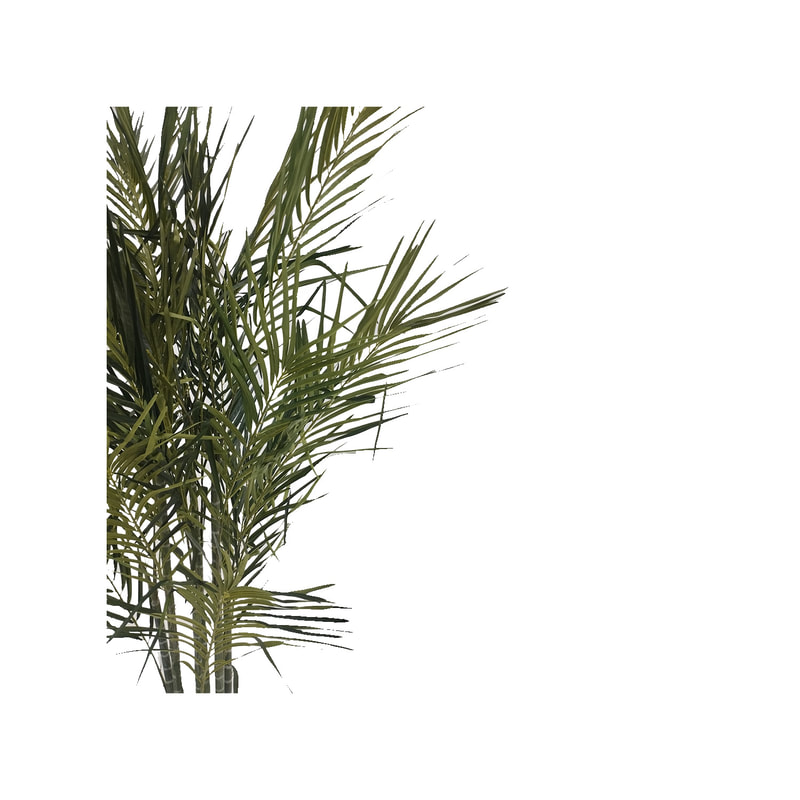 P-NN108-NT 190cm high 'nearly natural' Areca palm