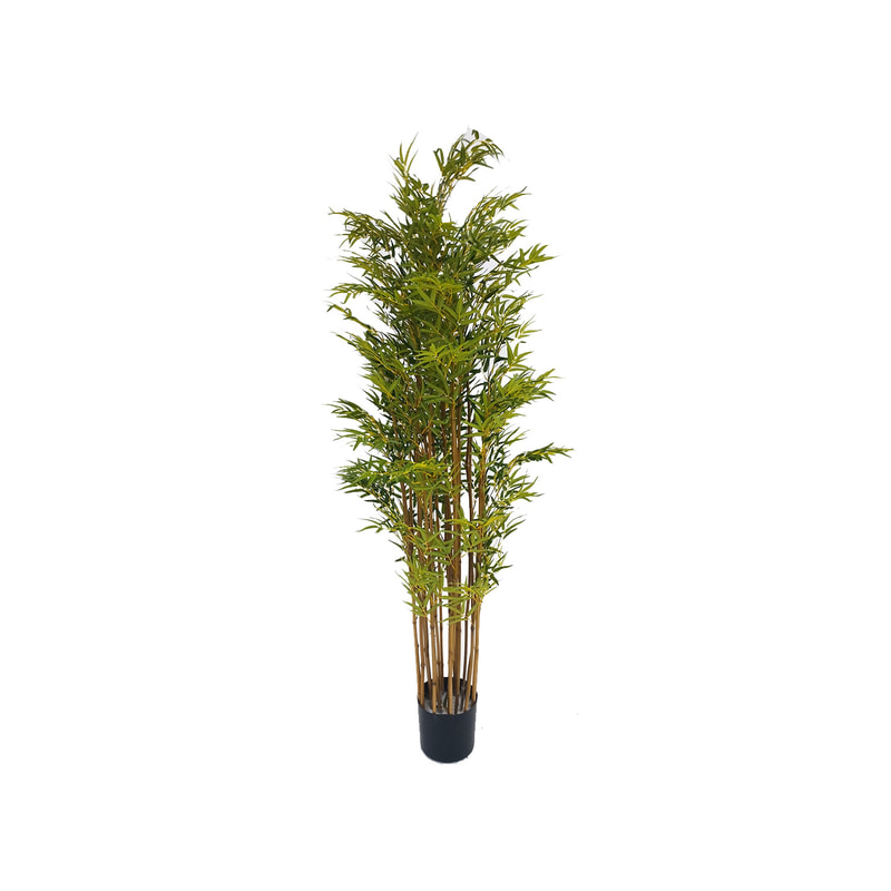 P-NN109-NT 210cm high 'nearly natural' Bamboo plant