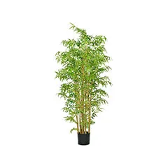 Bamboo - 210cm ​P-NN109-NT