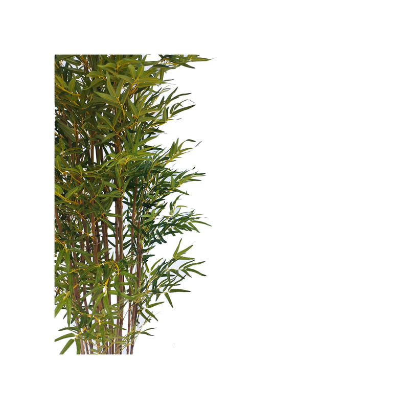 P-NN109-NT 210cm high 'nearly natural' Bamboo plant