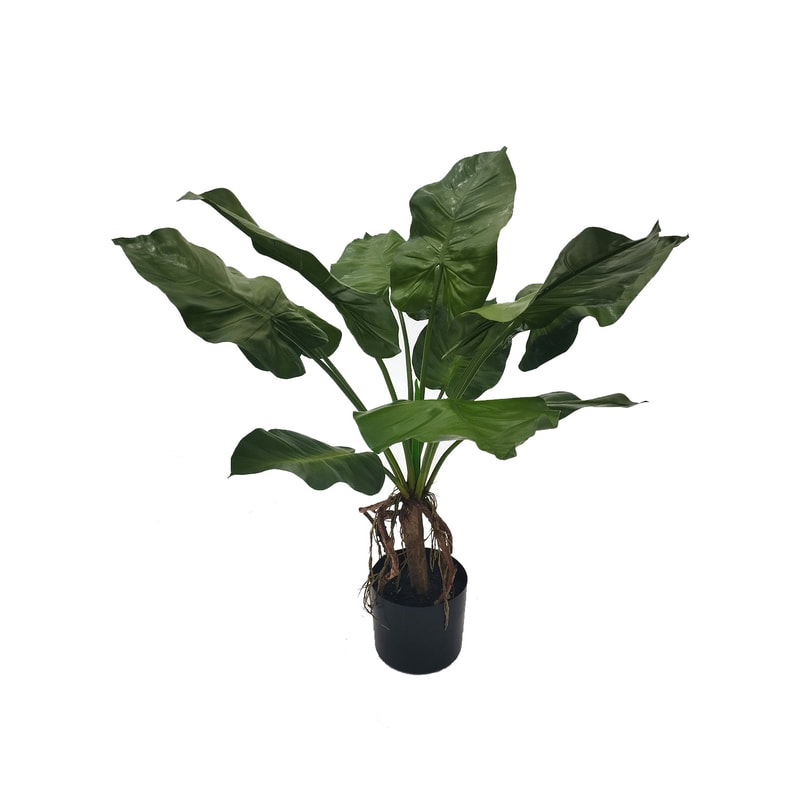P-NN113-NT 130cm high 'nearly natural' Elephant Ear plant